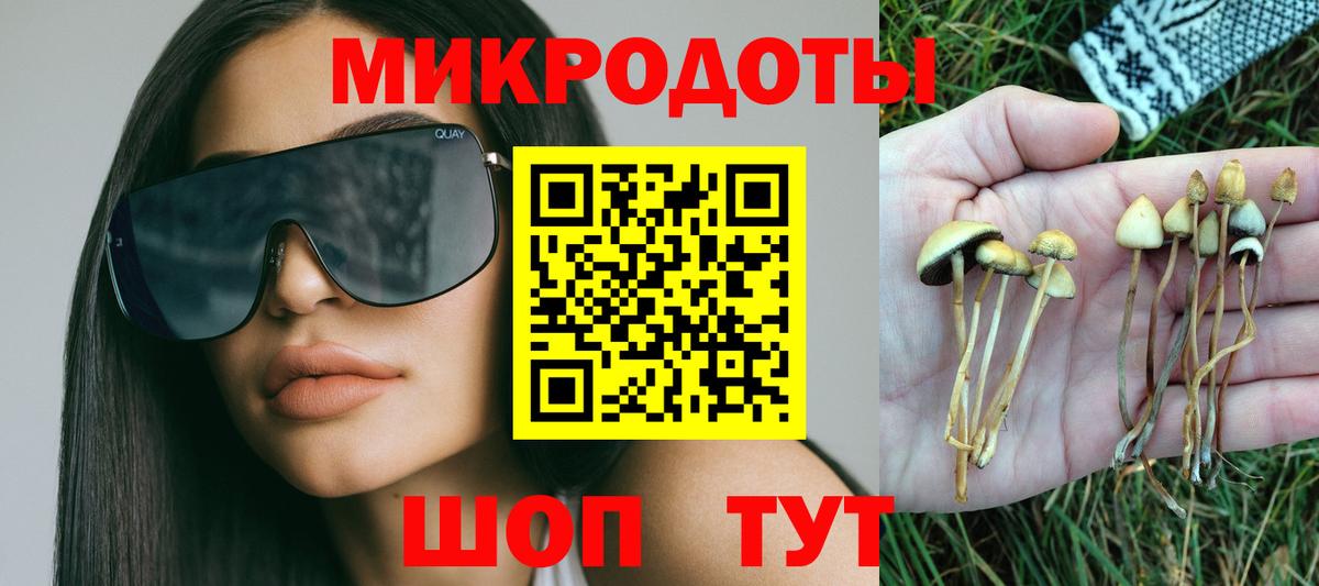 Лесозаводск  Галлюциногенные грибы прущие грибы  Вход с VPN  Галлюциногенные грибы мицелий 